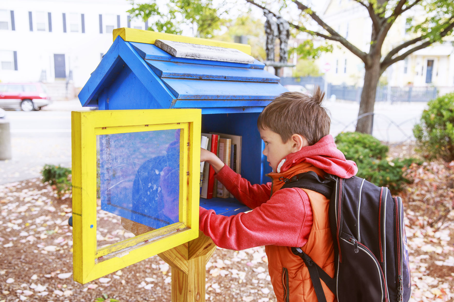 boy takes the free books on the street
